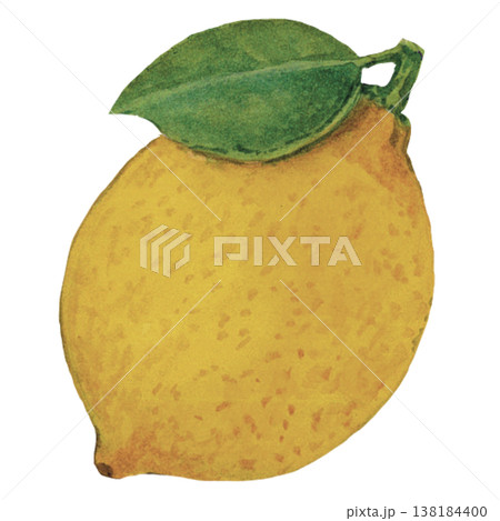 Whole Lemon Watercolor Fresh Citrus Fruit Illustration Whole Lemon Watercolor Fresh Citrus Fruit Illustration 138184400