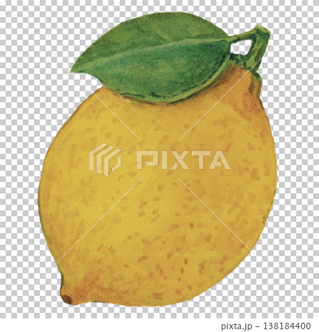Whole Lemon Watercolor Fresh Citrus Fruit Illustration Whole Lemon Watercolor Fresh Citrus Fruit Illustration 138184400
