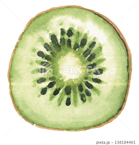 Kiwi Slice Watercolor Fresh Tropical Fruit Illustration 138184401