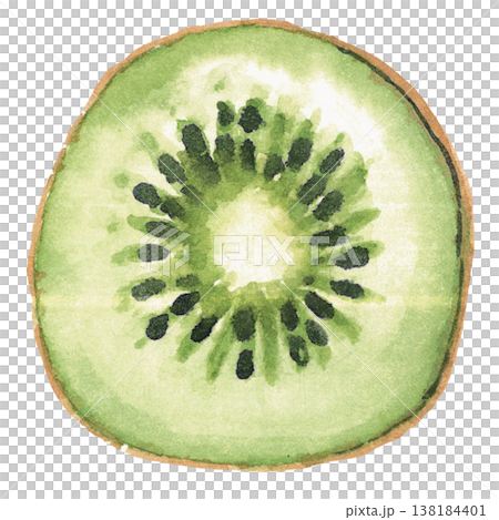 Kiwi Slice Watercolor Fresh Tropical Fruit Illustration 138184401