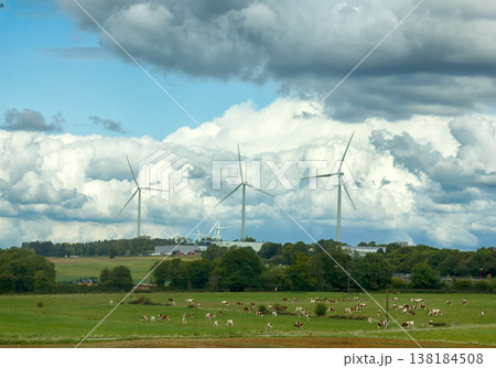 animal husbandry and clean energy sources. 138184508