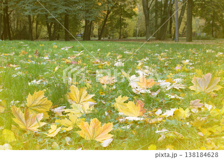 Autumn in the Park and on the streets 138184628