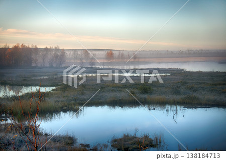 beauty of autumn: fog, yellow foliage beauty of autumn: fog, yellow foliage 138184713