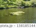 志賀高原の琵琶池 138185144