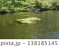 志賀高原の琵琶池 138185145
