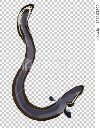 A watercolor-style illustration of an eel in an upward-facing pose, drawn with brushstrokes. A watercolor-style illustration of an eel in an upward-facing pose, drawn with brushstrokes. 138185200