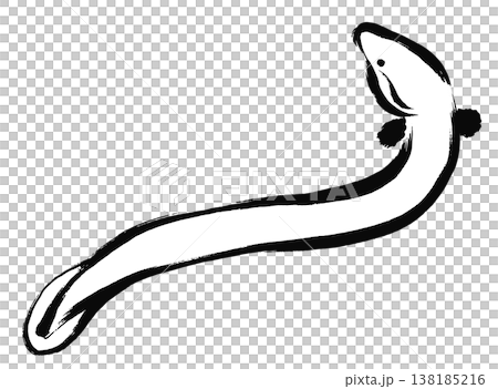 一幅鰻魚仰面朝天的插圖,以筆觸風格繪製。 一幅鰻魚仰面朝天的插圖,以筆觸風格繪製。 138185216