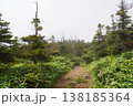 夏の横手山 138185364
