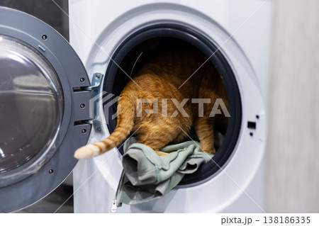 Playful ginger feline ventures into washing machine among vibrant towels during home exploration Playful ginger feline ventures into washing machine among vibrant towels during home exploration 138186335
