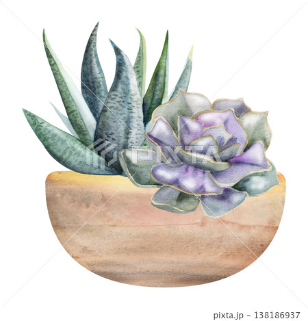 Aloe, sansevieria snake plant, agave. Echeveria rosettes potted in textured terracotta clay cachepot. Isolated illustration hand drawn in watercolor. Wall art for modern interiors, florist branding 138186937
