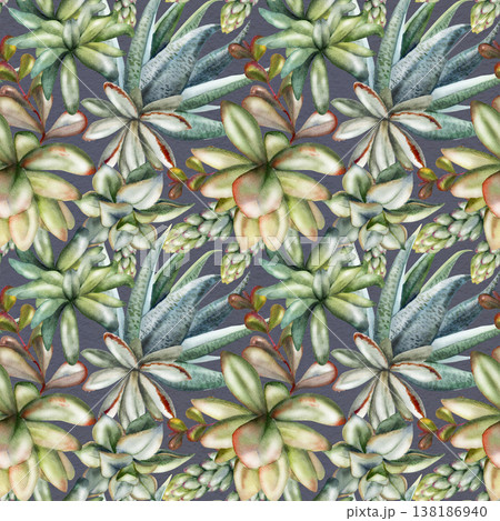 Watercolor rosette succulents, echeveria sedum kalanchoe, sansevieria aloe spiky leaves. Seamless pattern hand drawn in watercolor. Textile design, wallpaper, sustainable branding, digital planners. Watercolor rosette succulents, echeveria sedum kalanchoe, sansevieria aloe spiky leaves. Seamless pattern hand drawn in watercolor. Textile design, wallpaper, sustainable branding, digital planners. 138186940