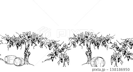 Leafy grapevine with tendrils and hanging ripe grape clusters on old trunks, wooden barrels on grass. Seamless banner. Hand drawn ink vector illustration. Wine packaging borders, signage, placemats 138186950