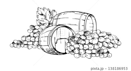 Harvested grape bunches, fruit clusters, old aging wooden cask barrels for distillery storage. Ink vector illustration, hand drawn graphics. Travel guides, vineyard maps, wine region and agritourism 138186953