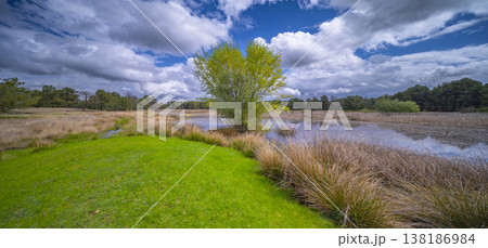 Lagunas de Cantalejo Special Protection Area, Spain 138186984