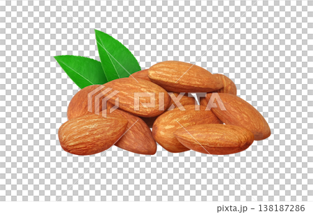 アーモンドのイラスト リアル 138187286
