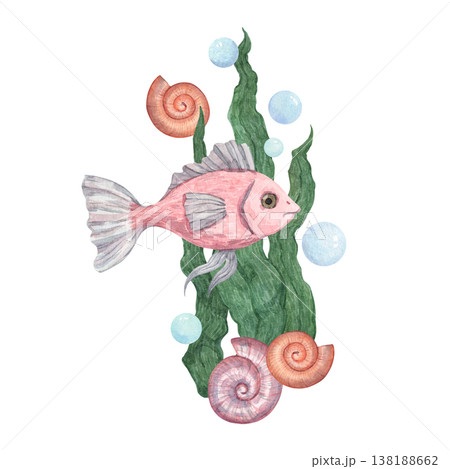 A cute pink-scaled fish swims among algae and shells in the deep sea A cute pink-scaled fish swims among algae and shells in the deep sea 138188662