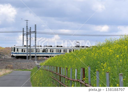 菜の花畑を走る東武アーバンパークラインの通勤電車 菜の花畑を走る東武アーバンパークラインの通勤電車 138188707