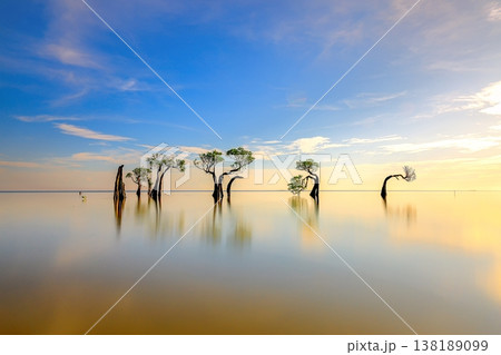 Beautiful tropical beach sea and ocean with mangrove tree on blue sky and white cloud 138189099