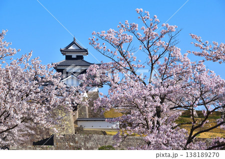 桜景　白河小峰城 138189270