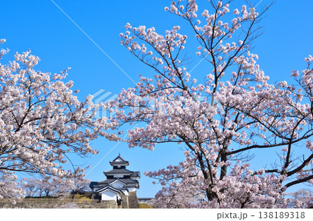 桜景 白河小峰城 桜景 白河小峰城 138189318