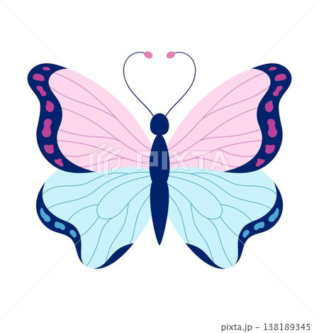 pink blue butterfly in flat style pink blue butterfly in flat style 138189345
