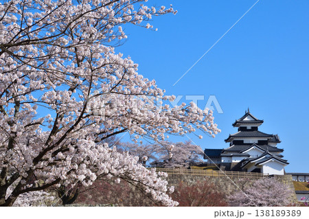 桜景　白河小峰城 138189389