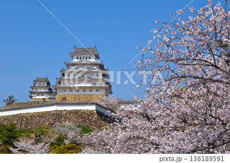 桜景 姫路城 桜景 姫路城 138189591