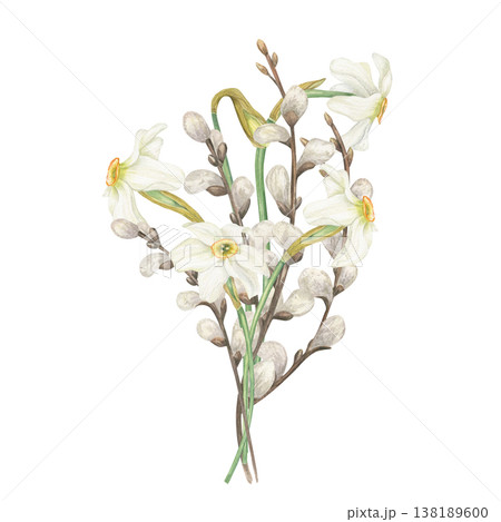 Daffodil, willow branch bouquet watercolor illustration on isolated background. Hand drawn spring narcissus flowers and twigs with with fluffy white buds. Floral composition for Easter greeting cards Daffodil, willow branch bouquet watercolor illustration on isolated background. Hand drawn spring narcissus flowers and twigs with with fluffy white buds. Floral composition for Easter greeting cards 138189600