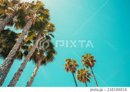Palm trees against the blue sky. Tropical nature background Palm trees against the blue sky. Tropical nature background 138189818