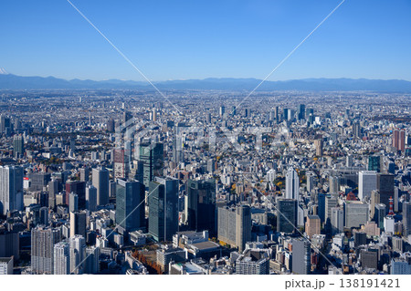 快晴の東京中心部の空撮 快晴の東京中心部の空撮 138191421