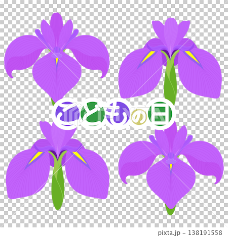 シンプルな菖蒲のイラスト 138191558