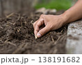 丁寧に整えられた畑の土に種まきをする農作業の手元 138191682