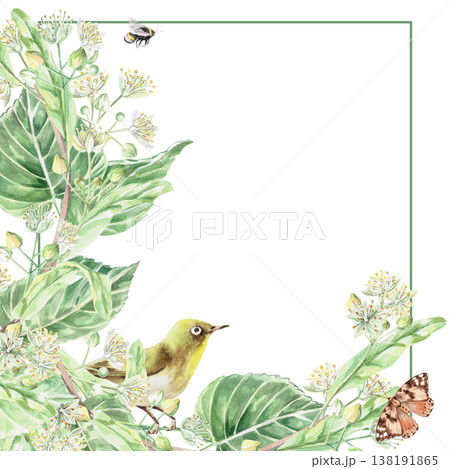 A square frame with blossoming linden branches, a bird, a bee, and a butterfly. Isolated watercolor illustration for pharmaceuticals, organic food and beverages, and health and wellness products. 138191865