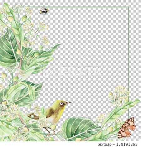 A square frame with blossoming linden branches, a bird, a bee, and a butterfly. Isolated watercolor illustration for pharmaceuticals, organic food and beverages, and health and wellness products. 138191865