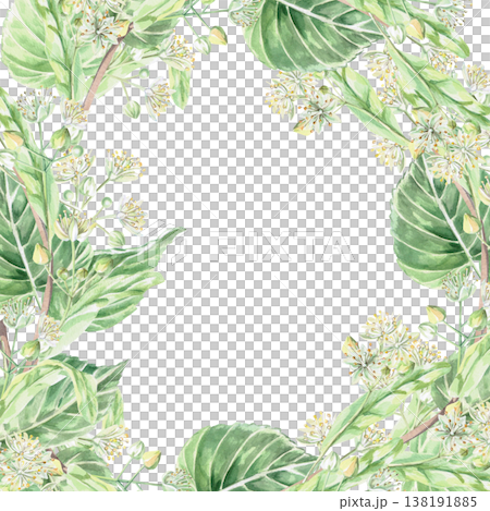 A square frame with blossoming linden branches. Isolated watercolor illustration for pharmaceutical, cosmetic, organic, and beverage products, food, and health products. A square frame with blossoming linden branches. Isolated watercolor illustration for pharmaceutical, cosmetic, organic, and beverage products, food, and health products. 138191885