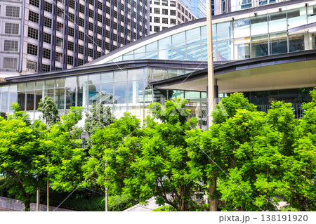 緑のあるビル街の風景 緑のあるビル街の風景 138191920