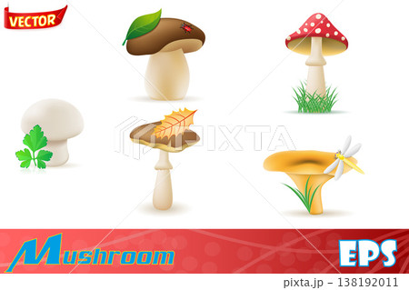 set icons natural forest mushrooms vector illustration 138192011