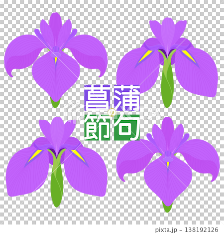 Simple irises illustration Simple irises illustration 138192126