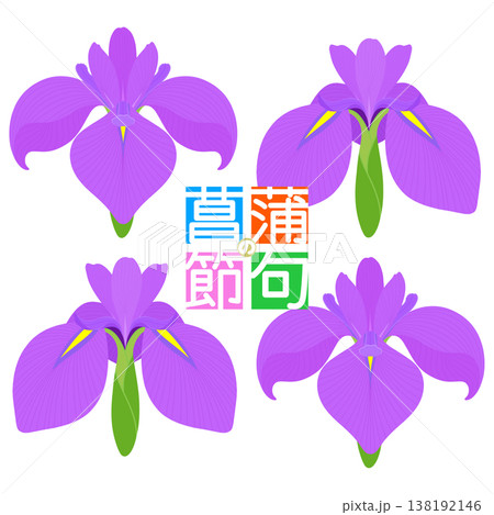 シンプルな菖蒲のイラスト 138192146