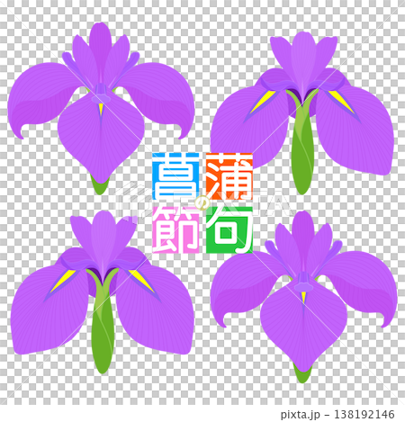 Simple irises illustration 138192146