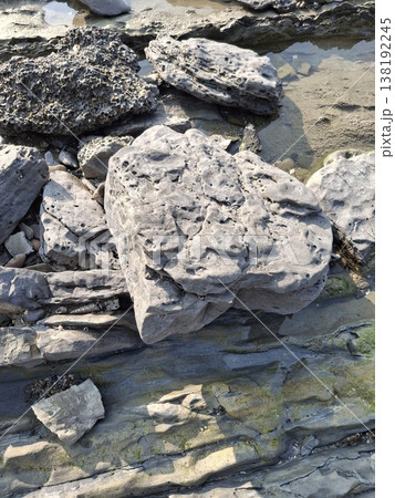 Close-Up of Weathered Rocks on a Coastal Landscape with Algae and Water Close-Up of Weathered Rocks on a Coastal Landscape with Algae and Water 138192245