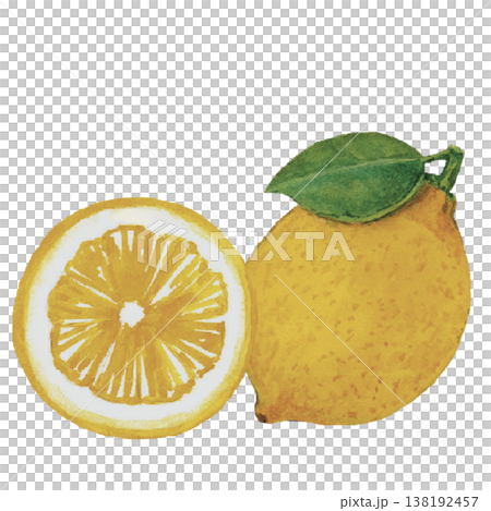 Lemon Watercolor Fresh Citrus Fruit Illustration Isolated Lemon Watercolor Fresh Citrus Fruit Illustration Isolated 138192457
