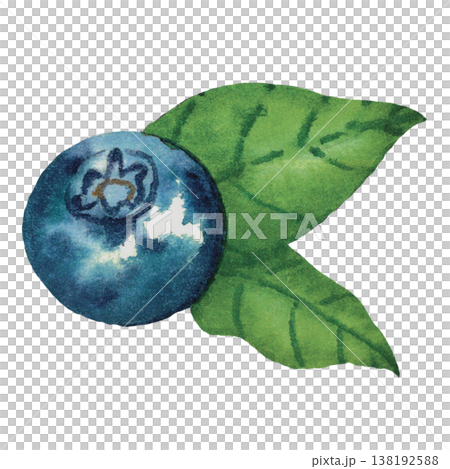 Watercolor Blueberry with Leaves Fresh Berry Illustration Isolated 138192588