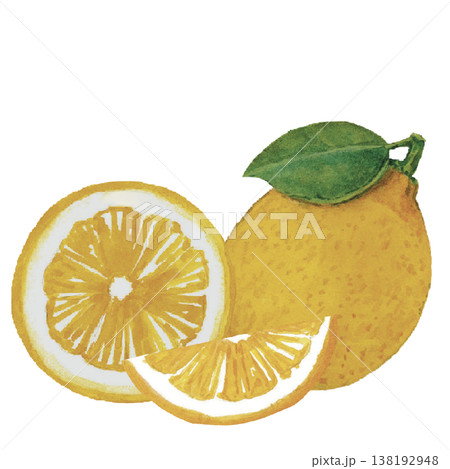Lemon Slices Watercolor Fresh Citrus Fruit Composition Lemon Slices Watercolor Fresh Citrus Fruit Composition 138192948