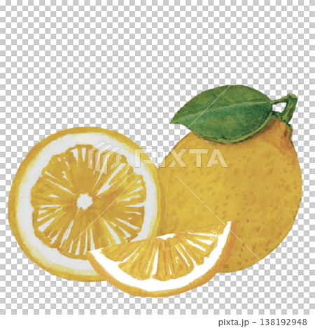 Lemon Slices Watercolor Fresh Citrus Fruit Composition 138192948