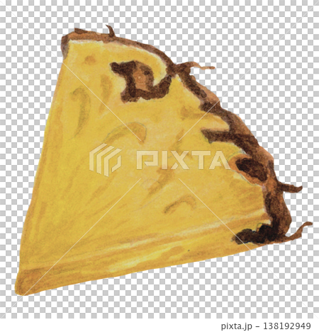 Pineapple Slice Watercolor Fresh Tropical Fruit Illustration 138192949