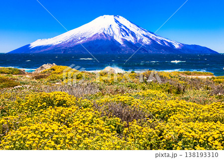 モントレーのセブンティーンマイルドライブの絶景 モントレーのセブンティーンマイルドライブの絶景 138193310