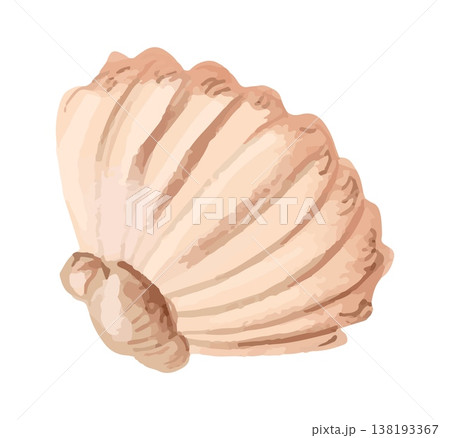 Watercolor style vector illustration of seashell isolated on white background 138193367