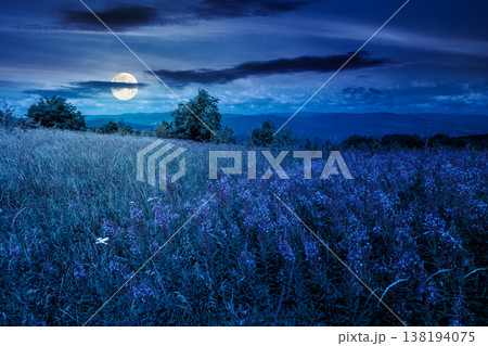landscape with high grass and blooming pink flowers on top of a mountain at night. full moon over willow herb on alpine meadow. trees near the edge of high mountain. mysterious alpine environment 138194075