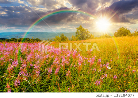 sunset over landscape with high grass and blooming pink flowers on top of a mountain. willow herb on alpine meadow under rainbow. trees near the edge of high mountain. wonderful alpine environment 138194077